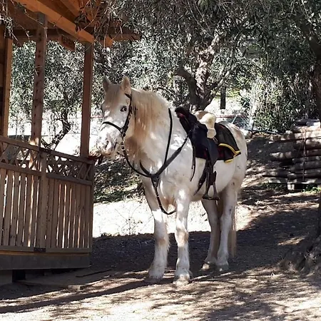 Rosetta Bed & Breakfast Moneglia