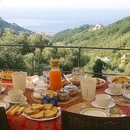 Rosetta Bed & Breakfast
