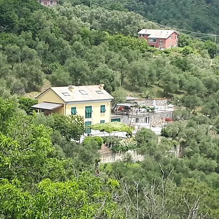 Panzió Rosetta *