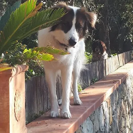Bed and Breakfast Rosetta
